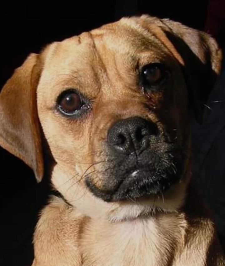 Portrait of Kattie