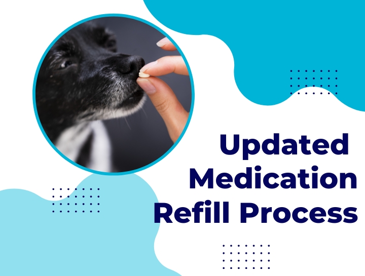 Updated Medication Refill Process