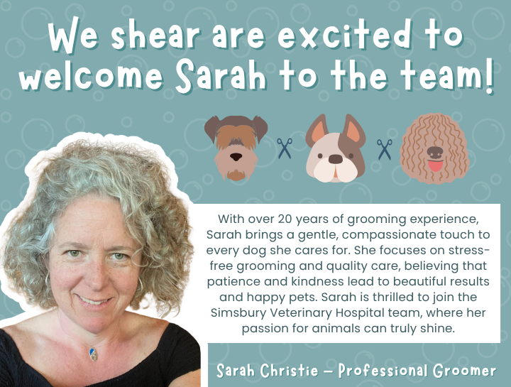 Please Welcome New Groomer, Sarah!