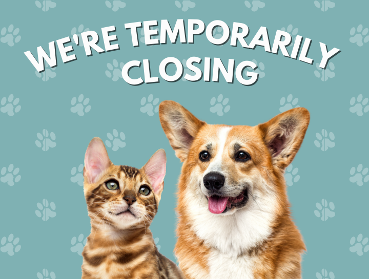 We're Temporarily Closing